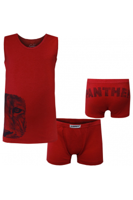 Комплект белья детский для мальчика КТМ-19-14 размер (11720) Бордовый