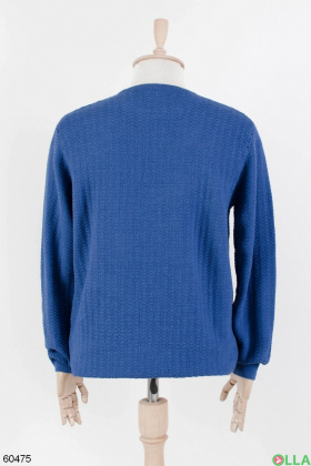 Чоловічий синій светр