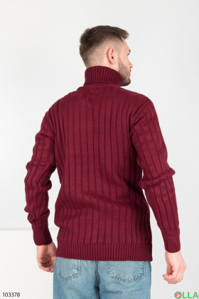 Чоловічий бордовий светр