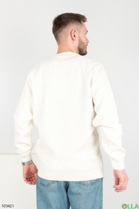 Чоловічий білий светр