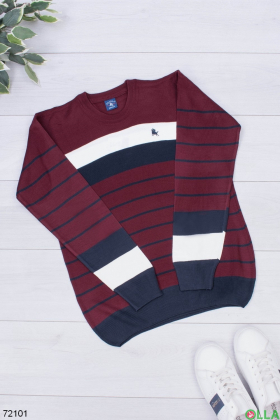 Чоловічий різнокольоровий светр в смужку