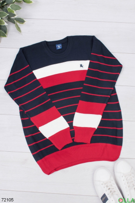 Чоловічий різнокольоровий светр в смужку