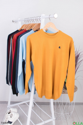 Чоловічий жовтий светр