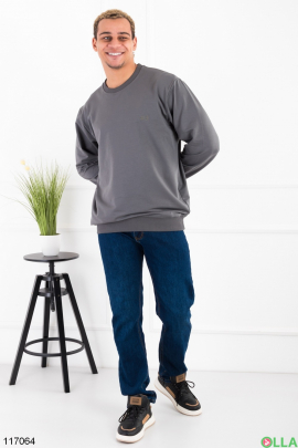 Men's gray sweatshirt batal