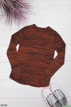 Чоловічий коричневий светр
