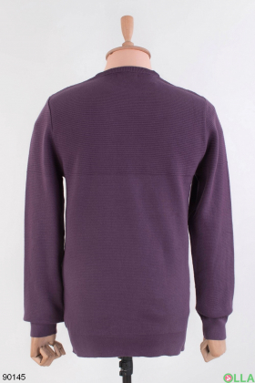 Men's purple sweater
