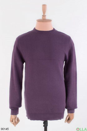 Men's purple sweater