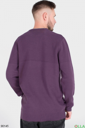 Чоловічий фіолетовий светр