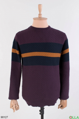 Чоловічий двоколірний светр з смужкою