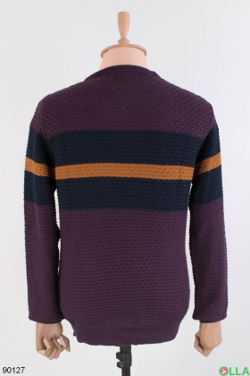 Men's two-tone striped sweater