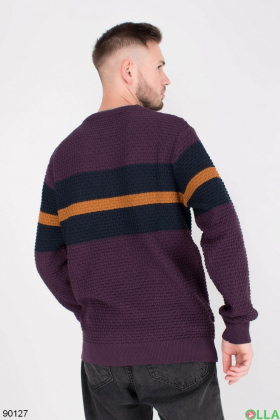 Men's two-tone striped sweater