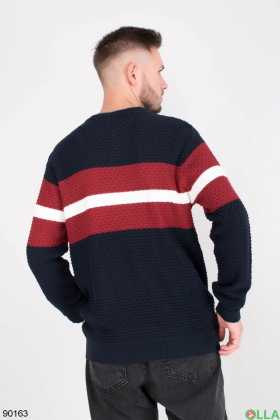 Чоловічий двоколірний светр з смужкою