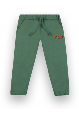 Дитячі штани для хлопчика BR-21-61-1 *Кіабі* Зелений 