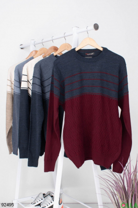 Men's two-tone sweater