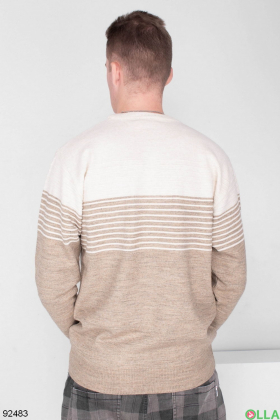 Чоловічий двоколірний светр