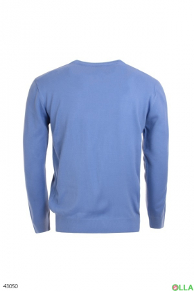 Чоловічий блакитний светр