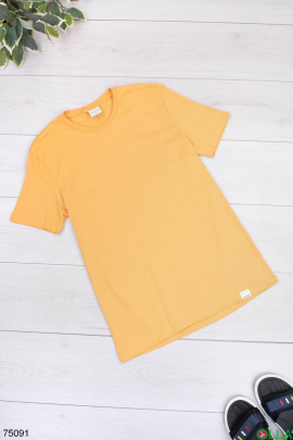 Мужская оранжевая футболка 