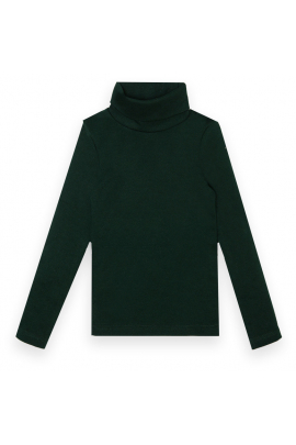 Детский однотонный свитер гольф для мальчика SV-22-2-11 (13342) Зеленый