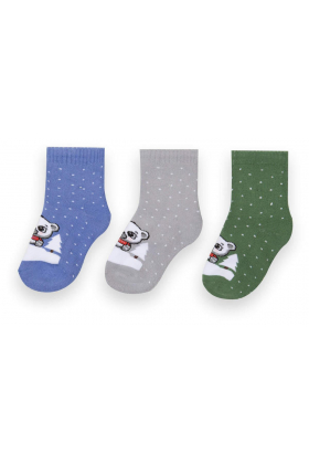 Детские Gabbi махровые носки для мальчика NSM-258 размер (90258) Серый
