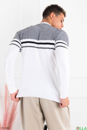 Men's gray and white sweater