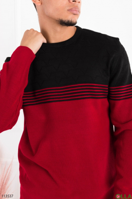 Чоловічий двокольоровий светр