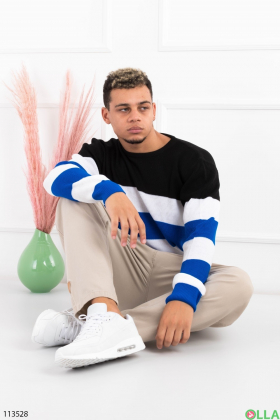 Men's multicolour striped sweater