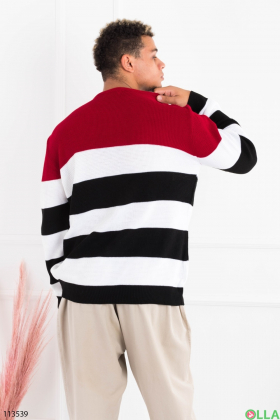 Men's multicolour striped sweater