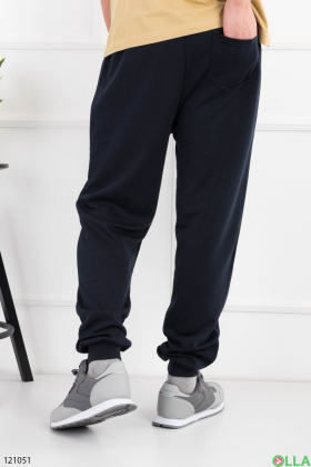 Мужские синие спортивные брюки