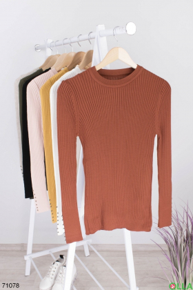 Жіночий коричневий светр
