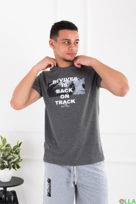 Men's gray T-shirt with print