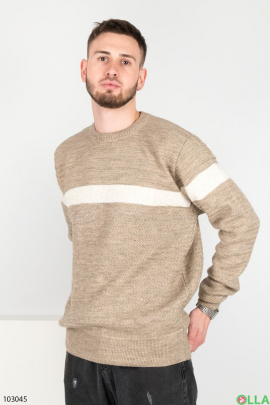 Men's winter beige sweater
