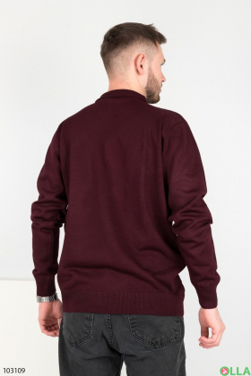 Men's winter burgundy sweater
