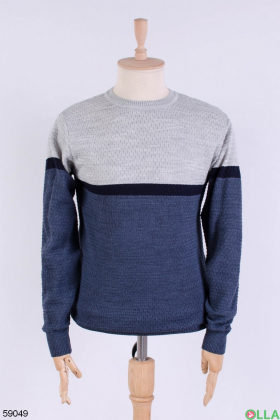 Чоловічий синьо-сірий светр