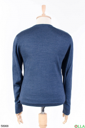 Чоловічий синій светр