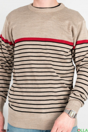 Men's beige sweater with stripes